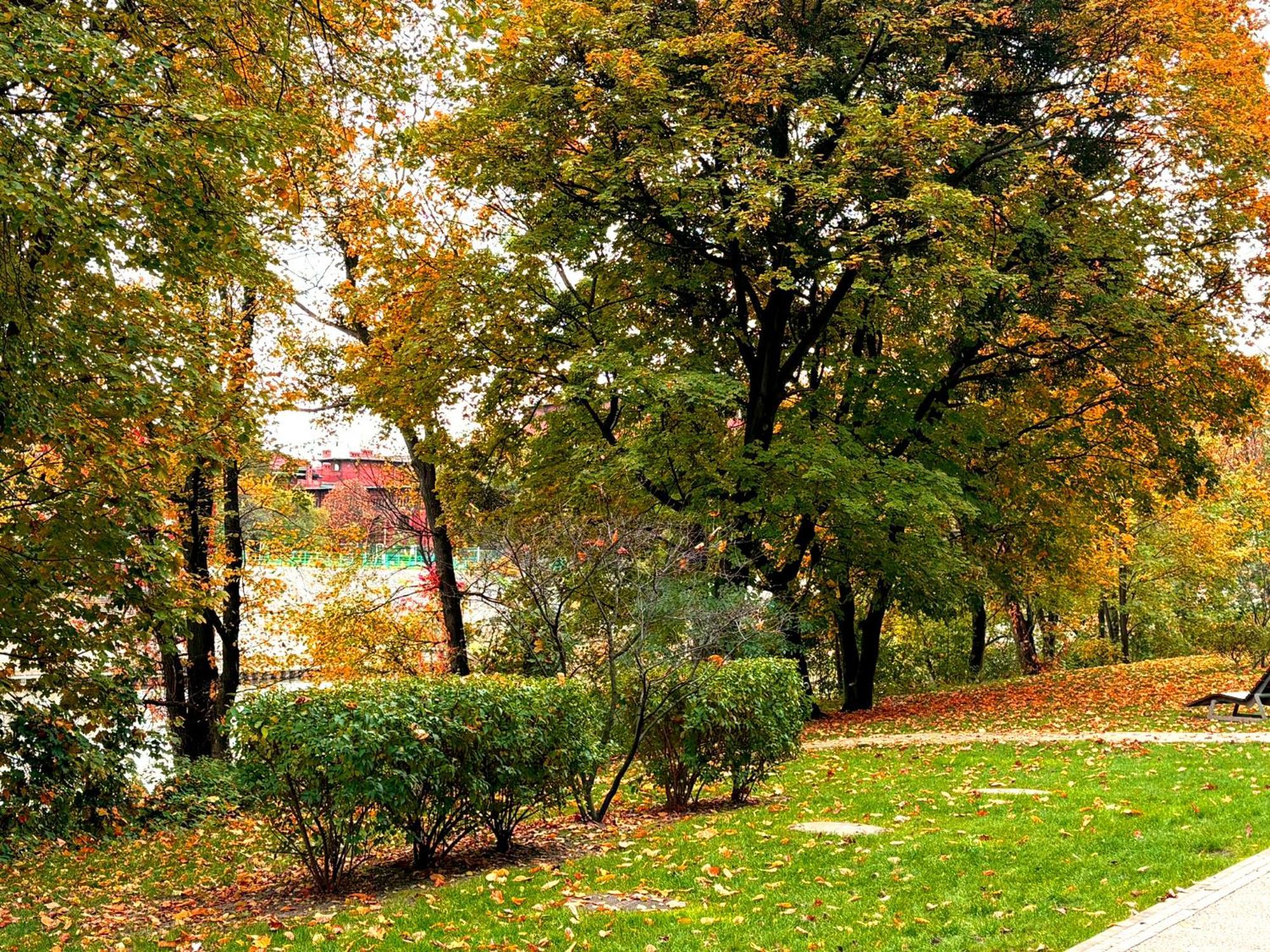 Prime Time Apartament - 24H Check -In - Parking W Cenie - Wroclaw, Wroclaw